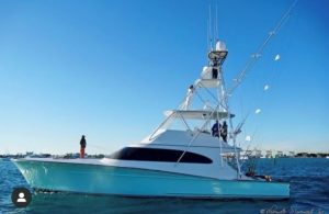 escotet-otoro (5)1304224564